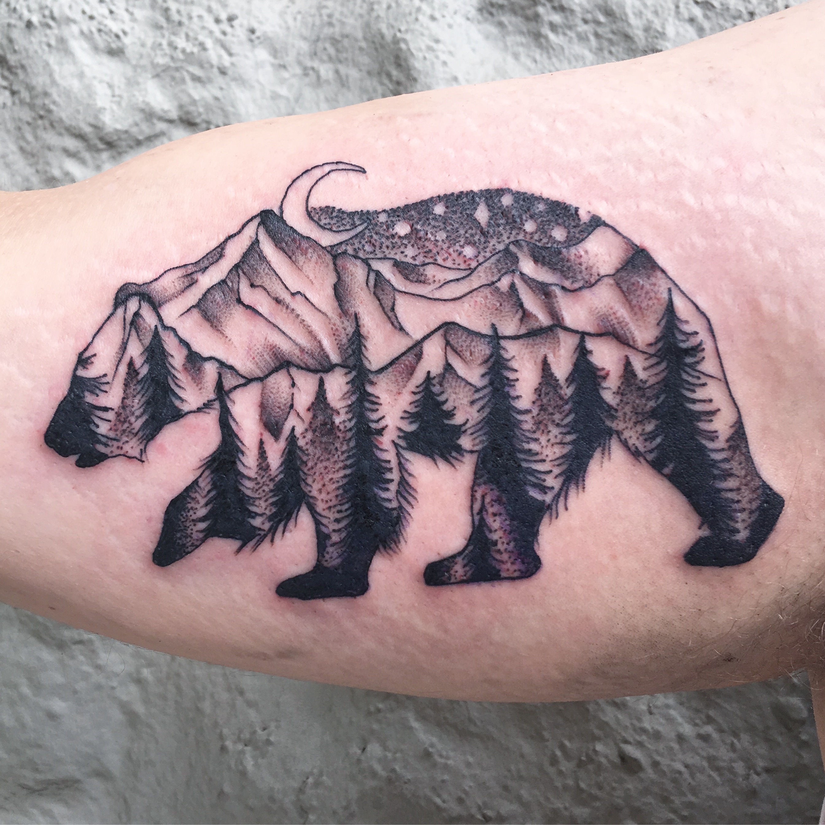Portland Tattoo Parlor - Blue Ox Tattoo